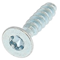 Senkkopf mit Torx