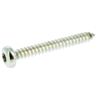Blechschrauben mit Linsenkopf Breit und Torx Stahl Weiß verzinkt ISO 14585C
